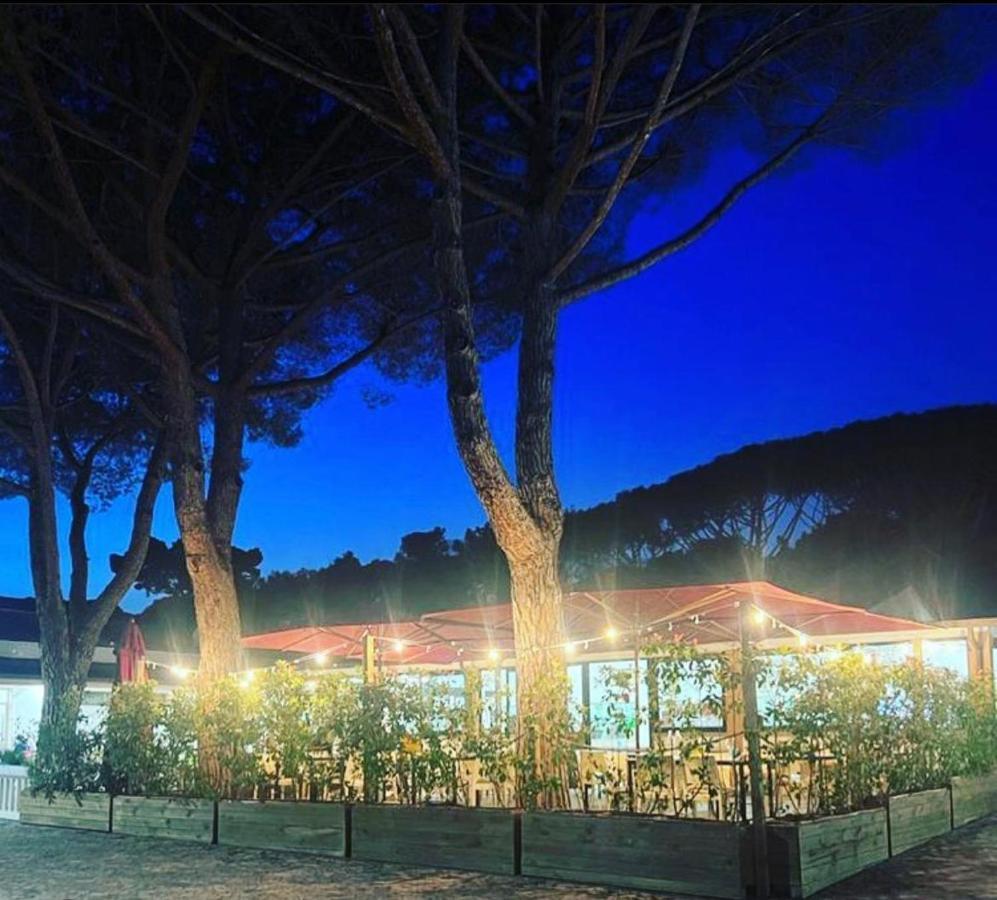 Appartamenti Campeggio Del Forte Marina Di Bibbona Exterior photo